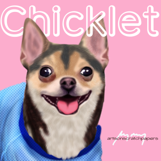 chanel-chicklet2